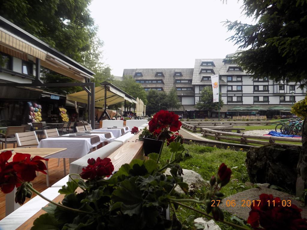 Apartment Sofia-konaci Kopaonik